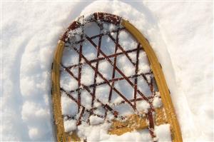 Old Snowshoe